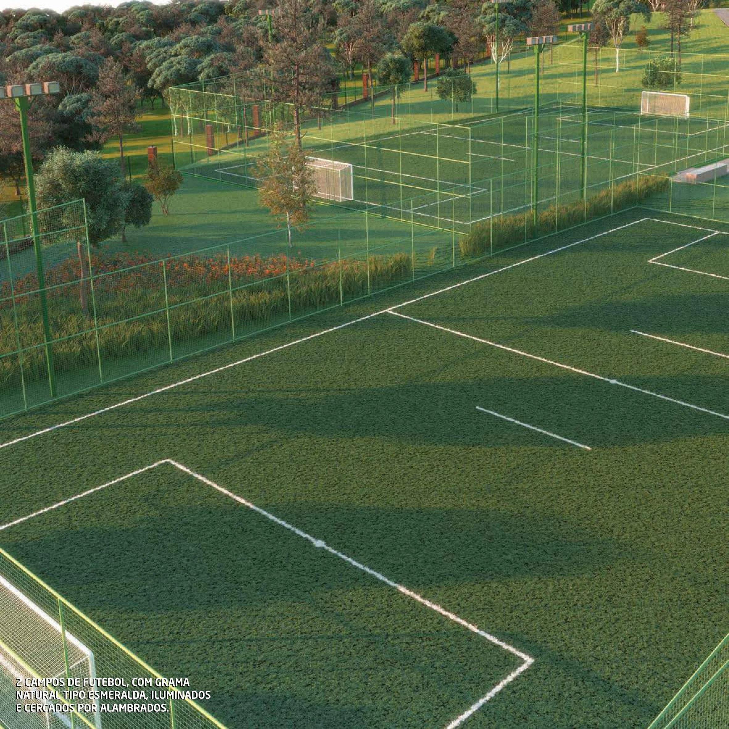 Perspectiva aérea dos campos de futebol com grama natural