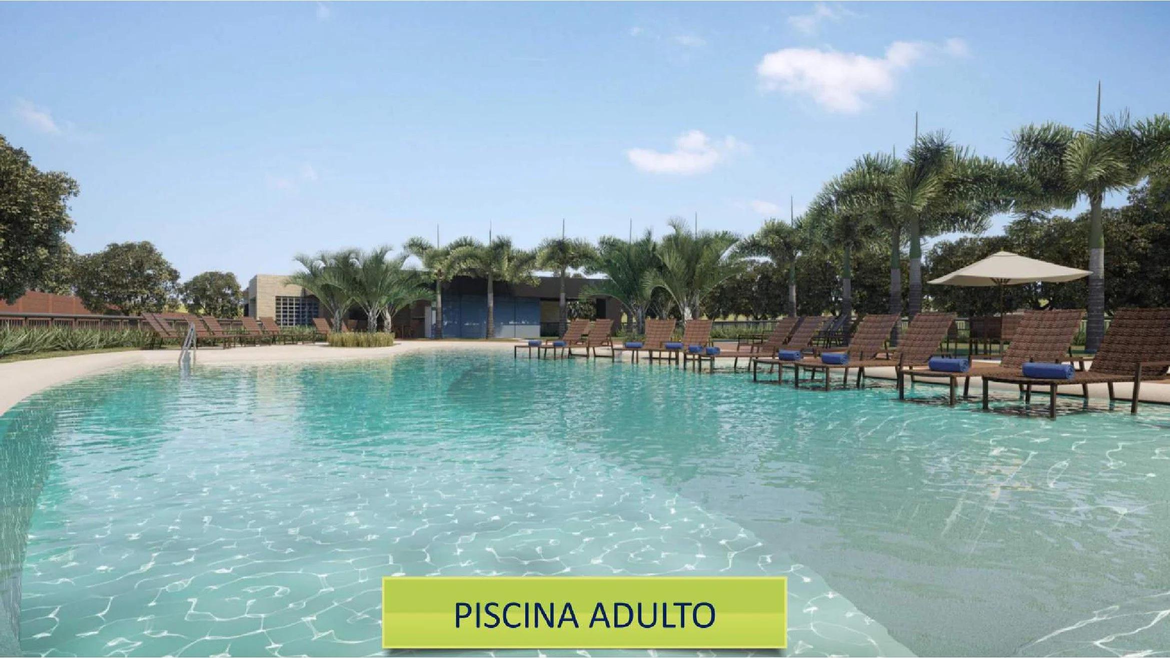 Piscina adulto com espreguiçadeiras à beira d'água e palmeiras