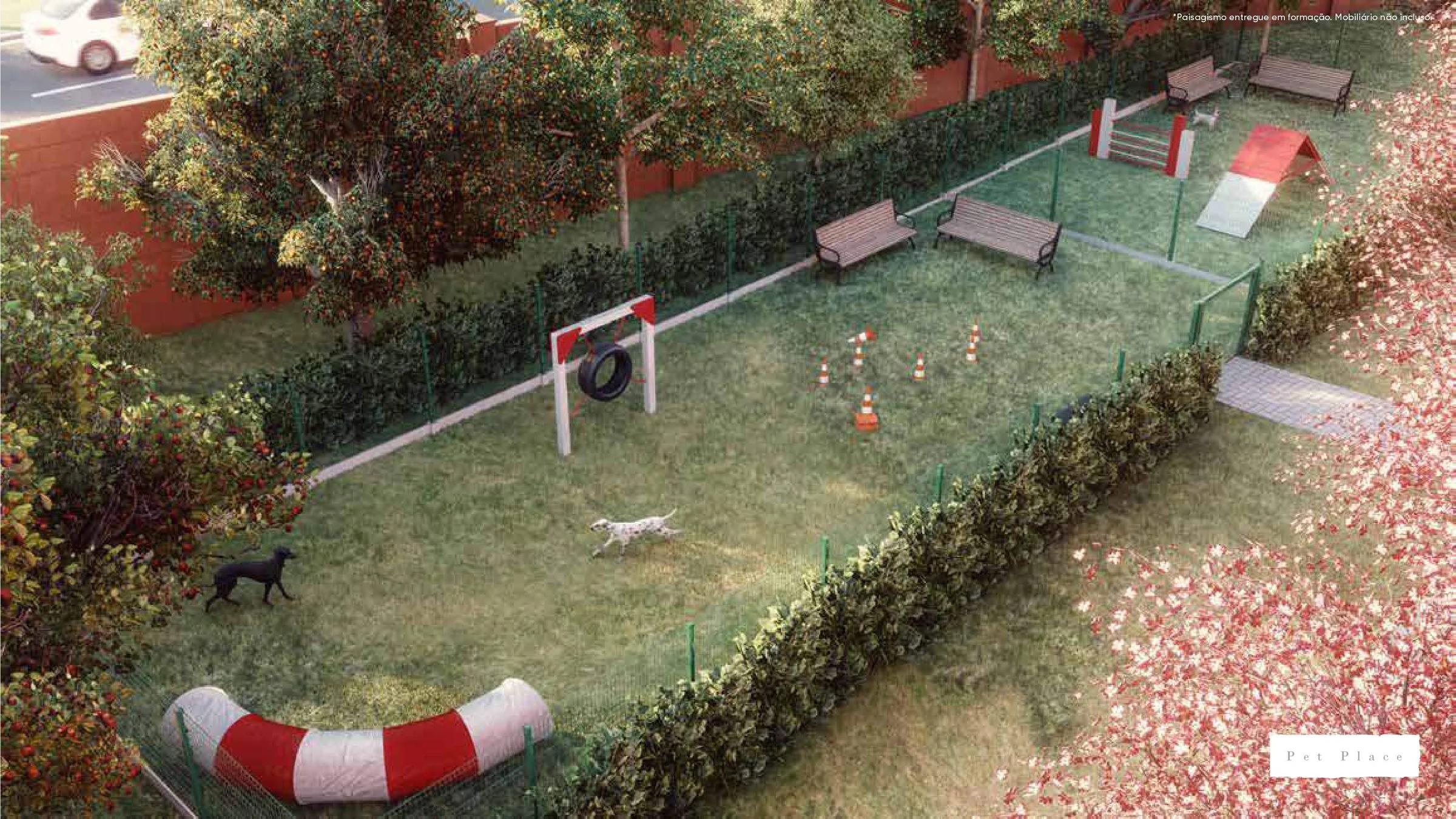 Perspectiva aérea do pet place cercado com circuito de agilidade para cães e bancos
