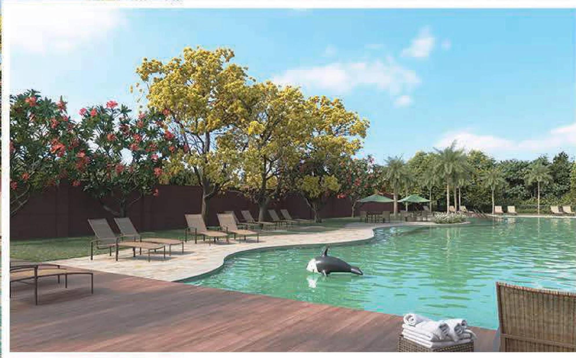 Deck de madeira à beira da piscina com espreguiçadeiras e paisagismo com árvores floridas