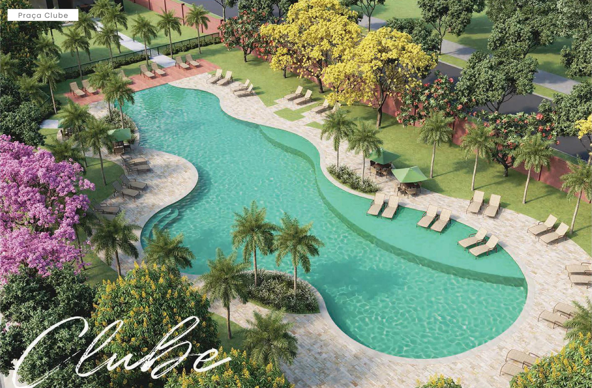 Vista aérea da piscina tropical com formato orgânico, prainha, espreguiçadeiras e palmeiras