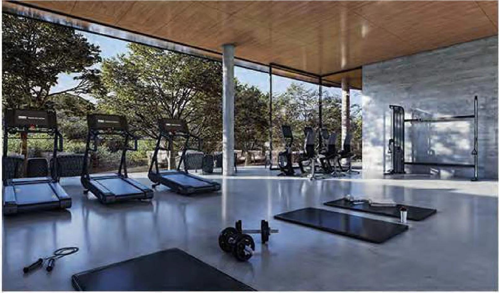 Interior da academia climatizada com esteiras e equipamentos de musculação