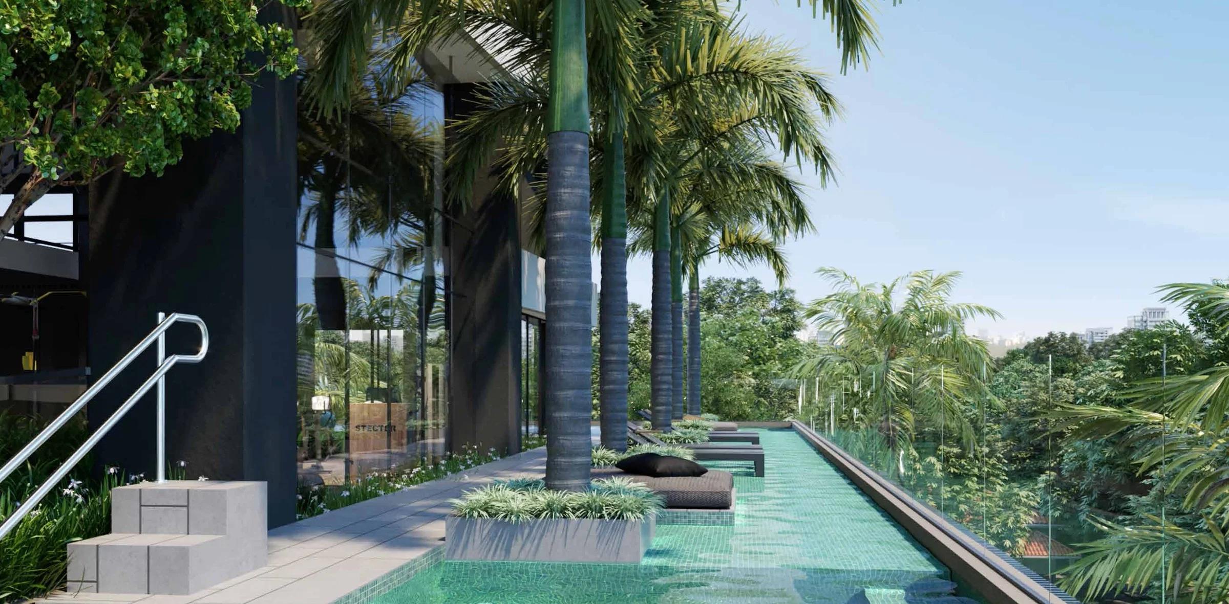 Opus Gyro Vaca Brava Design - piscina com palmeiras