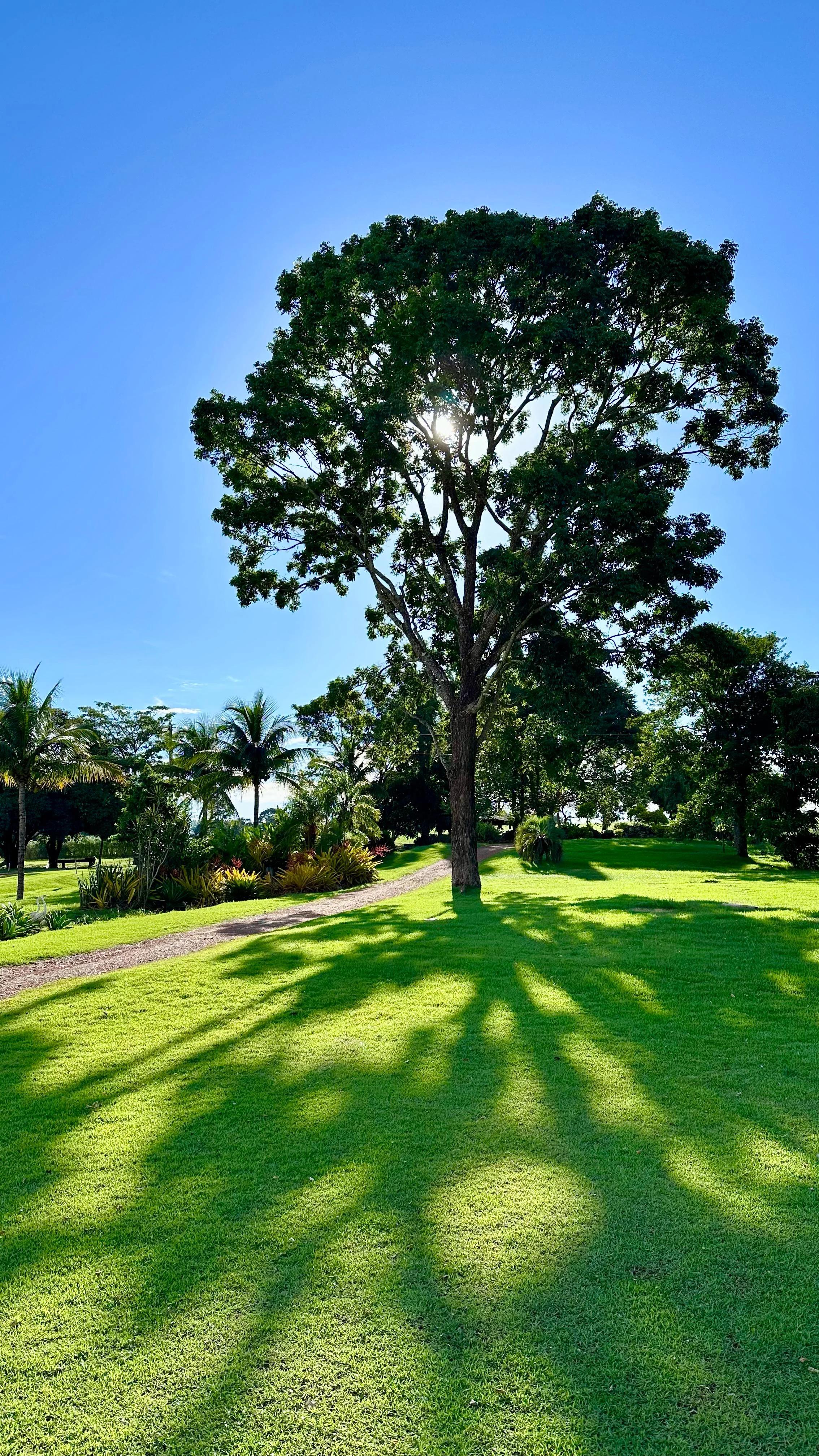 Fazenda Lumiar - area_comum